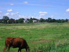 Groemitz-02.jpg